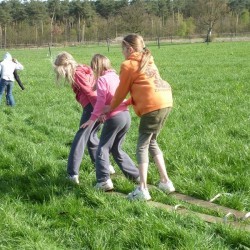 Koala 151 - Scouts en Gidsen Zaventem 